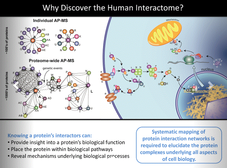 Discovery_with_BioPlex