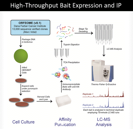 BioPlex_Method