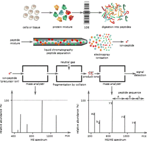mass_spectrometry_proteomics