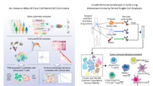 immune_cells_in_cancer_microenvironment