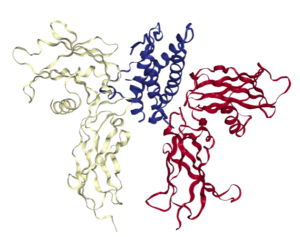 EPO-EOPR_Structure