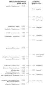 antibiotic-resistant-bacteria