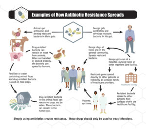Spread_of_antbiotic_resistance