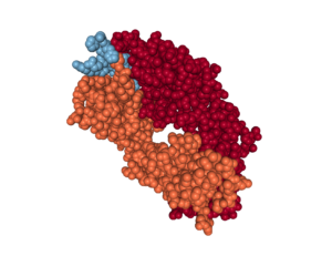 Abeta-antibody_crystal