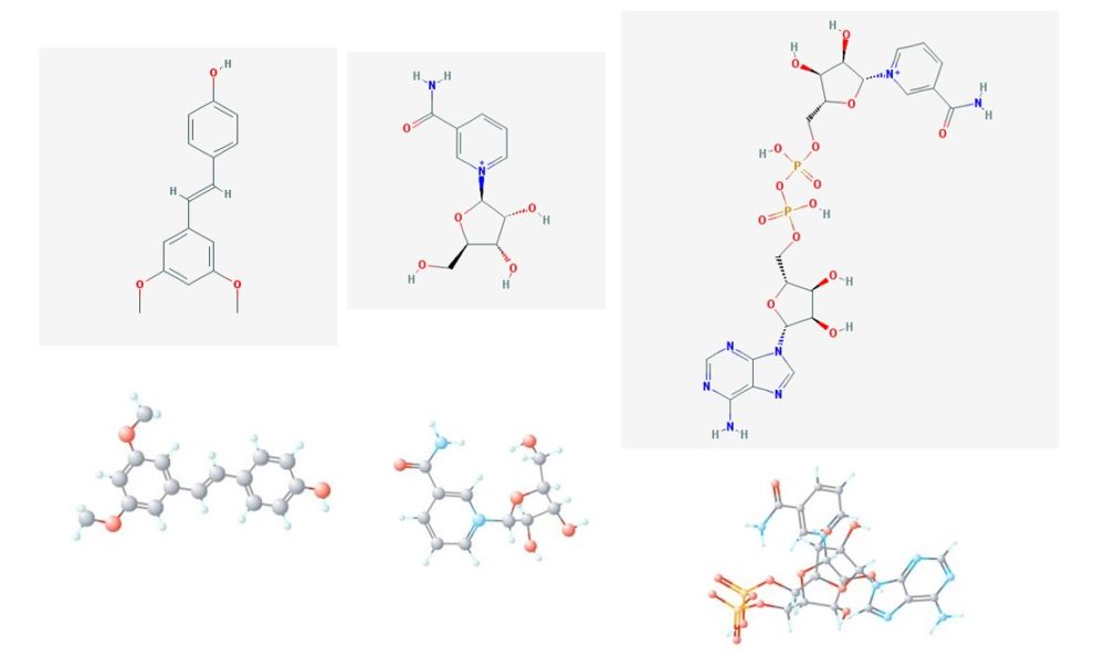 pterostilbene_NR_NAD