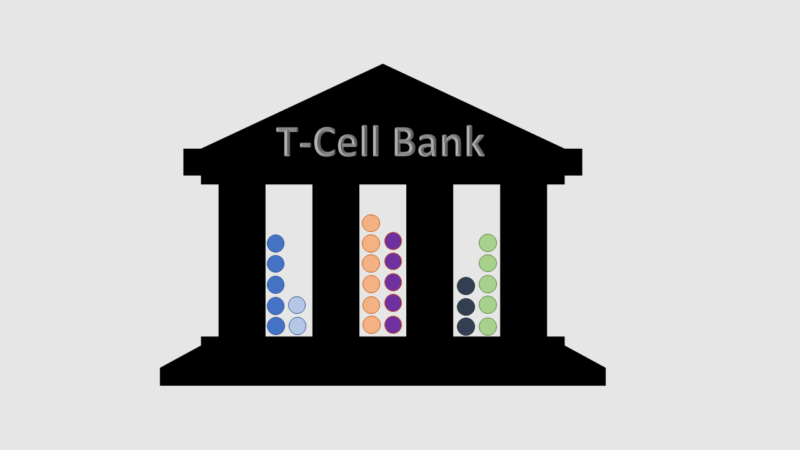 t-cell-bank