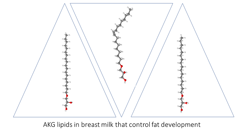 alkylglycerol_structures