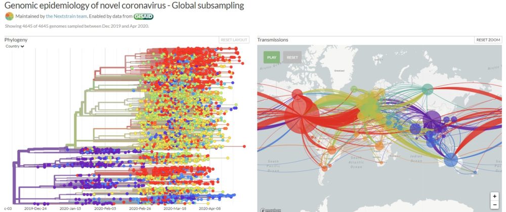 snapshot_genomic_epidemiology_SARS-CoV-2